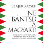 Ne bántsd a magyart!